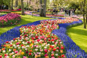 Keukenhof 1 Keukenhof 1