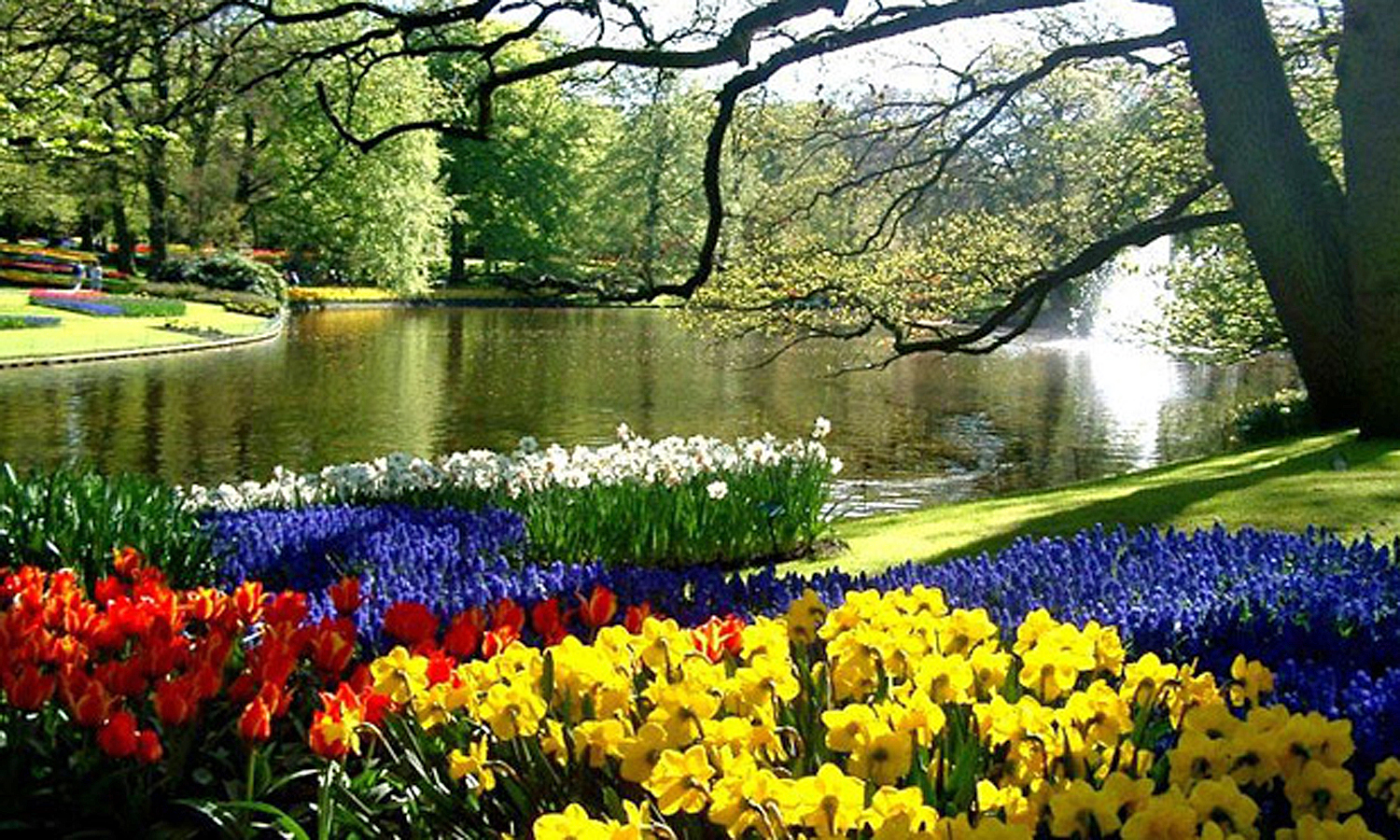 Keukenhof –  BulbFields Holland Tour